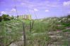 Filename=beach_hue_experiment_3.jpg
Filesize=136KB
Dimensions=800x533
Date added=Aug 13, 2006 beach_hue_experiment_3.jpg