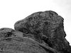 IMG_2852_bw.jpg